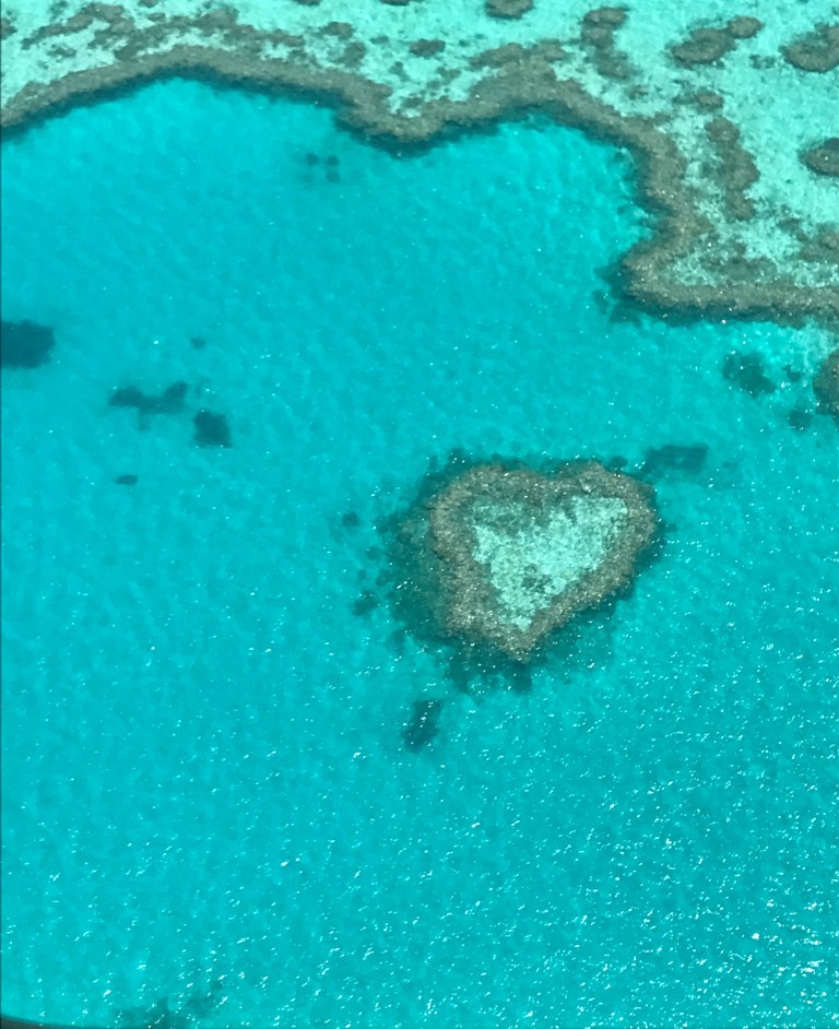 5B4E5E9D-A5A1-4ED6-8575-905CB6971AF1